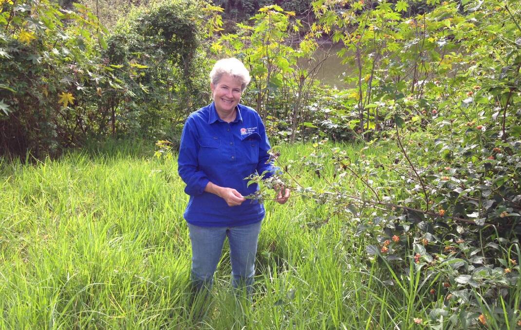 IN THE WILD: Hunter Local Land Services major projects officer Fiona Marshall.