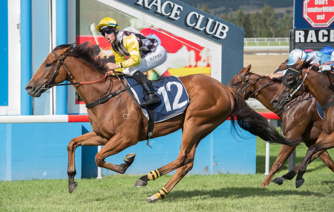 WINNING PARTNERSHIP: Top jockey Tommy Berry and Clearly Innocent, who was named country racing's Horse of the Year. Pic: KATRINA PARTRIDGE PHOTOGRAPHY