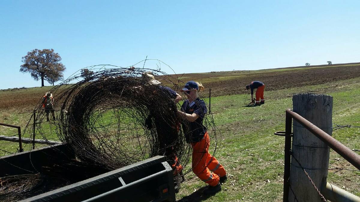 HELPING HAND: Kaliya Maxwell assists a farmer to load rolled up fencing wire into a trailer during BlazeAid.