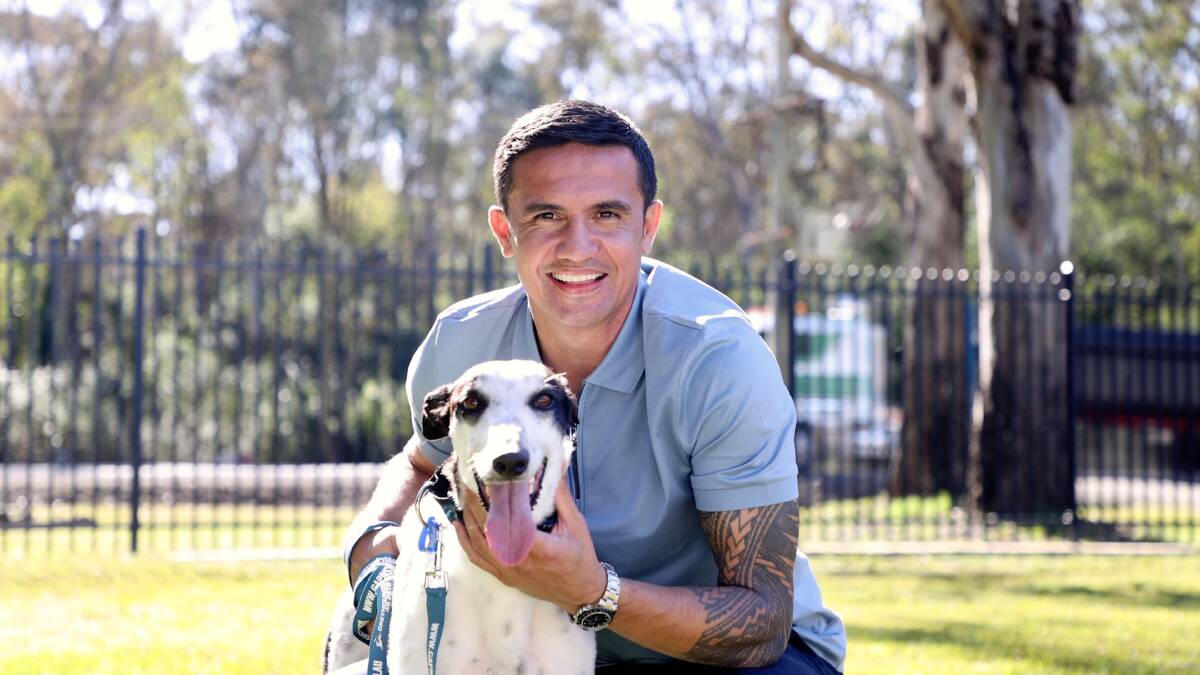 Tim Cahill. Picture supplied