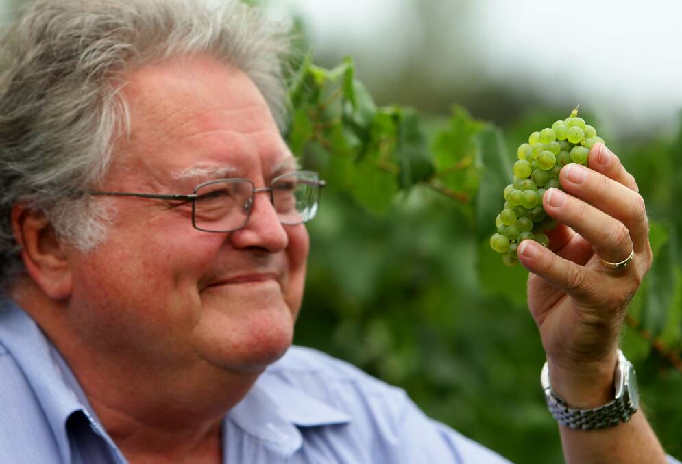 HISTORIC PURCHASE: Brian McGuigan, pictured, and Colin Peterson have bought Ben Ean vineyard. Pic: Jonathan Carroll