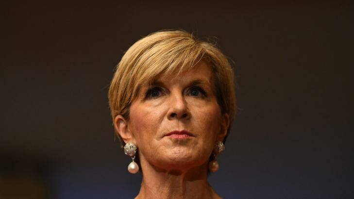 Foreign Minister Julie Bishop will be scrutinised by global political analysts and commentators while she is in Washington.
 Photo: Louise Kennerley