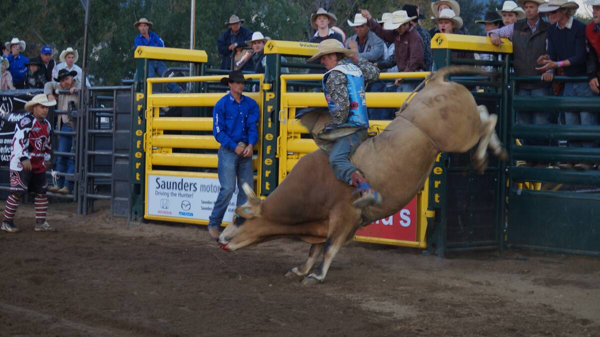 STEADY AS SHE GOES: David Mason in action at last year’s Scone Charity Rodeo. Pic: SCONE ADVOCATE