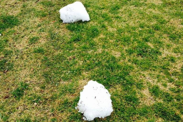 MISSILES:  Graham Turnbull photographed these hail 'monsters' in his Murrurundi backyard more than 12 hours after the storm hit.