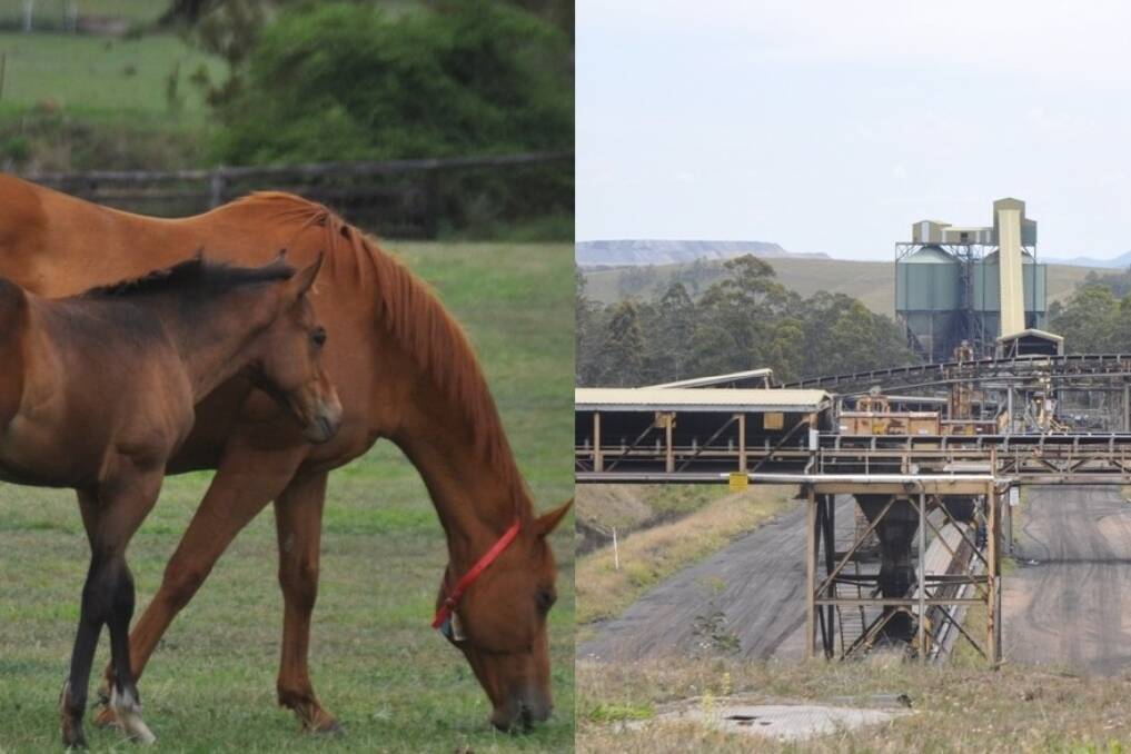 The NSW Premier and his Planning Minister will hold separate talks with horse breeders and miners in the Upper Hunter on Tuesday.