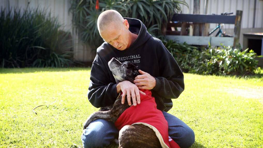 Paul Lawrence with his 15-year-old staffy Ellie who he claims has benefited from a daily dose of cannabis oil. Picture: Sylvia Liber