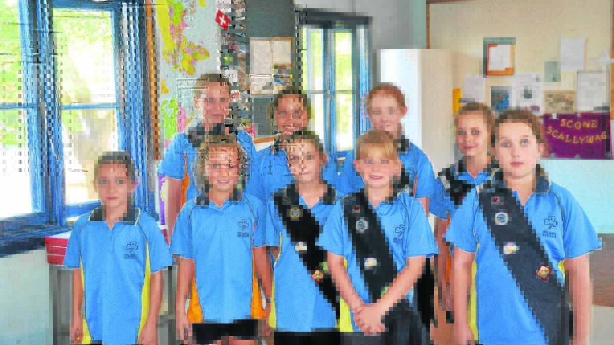 GIRL GUIDES: Back, Alanah Stokes, Danika Peters, Hallie Day, Demi Winter and, front, Kate Shuemaker, Racquelle Peters, Carolyn Day, Courtney Bulmer and Olivia Ninness.