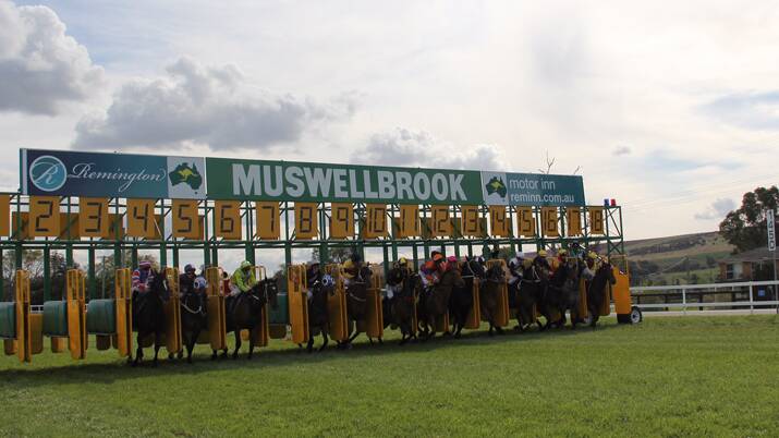 BACK ON TRACK: Racing returns to Skellatar Park, Muswellbrook, on Thursday.