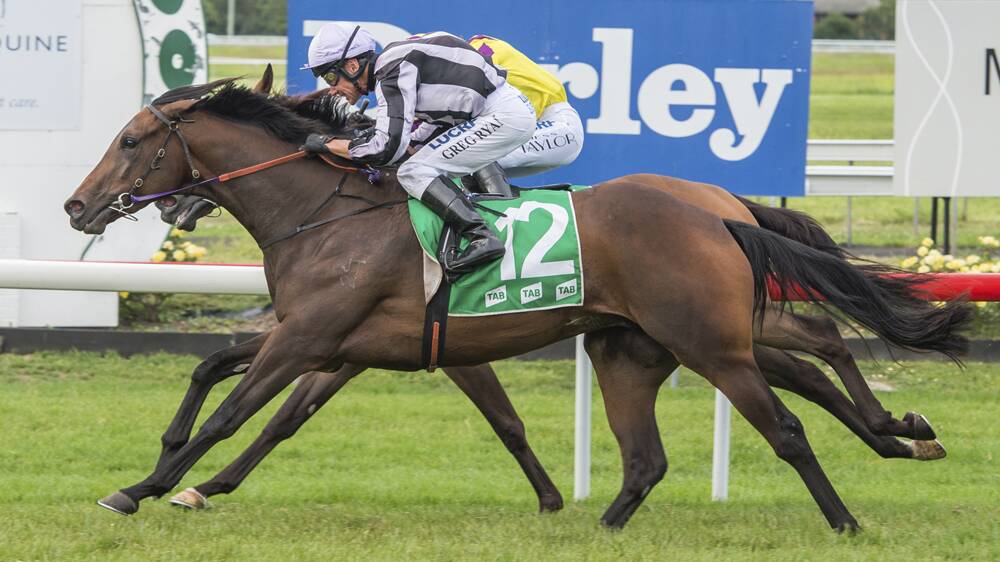 CLASS RECORD: Flaming Commodity, ridden by Greg Ryan, wins her second race from her eighth start at Muswellbrook on Friday. Pic: KATRINA PARTRIDGE PHOTOGRAPHY