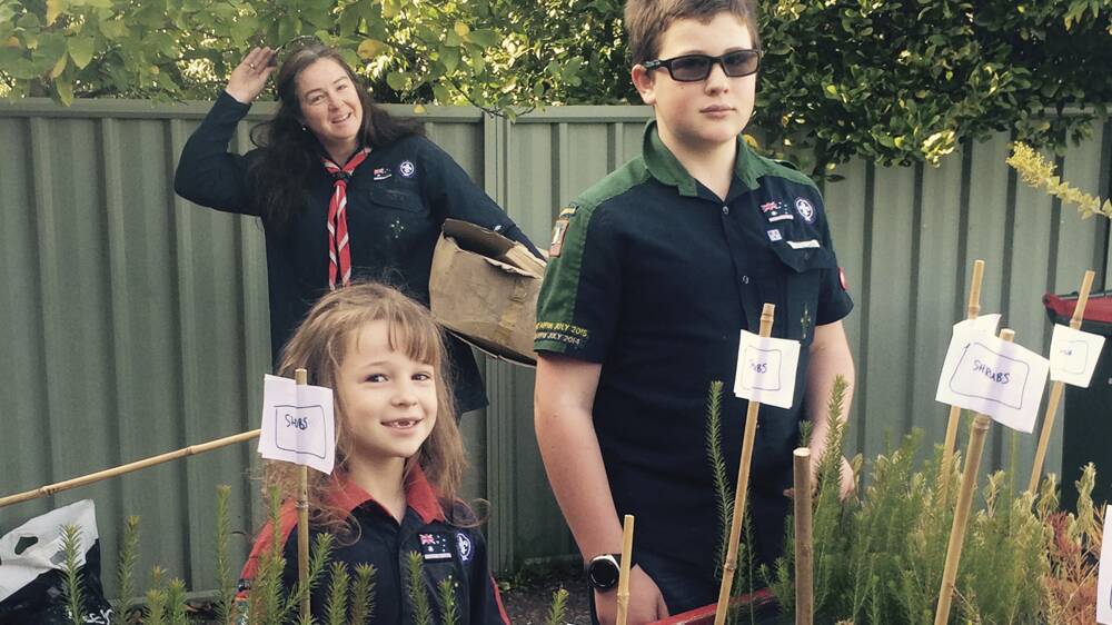 WORKING TOGETHER: Sonia Barnes, Group Leader, 1st Denman Scout Group, Talia Barnes, 6, and Lachlan Barnes loading up trees to plant.