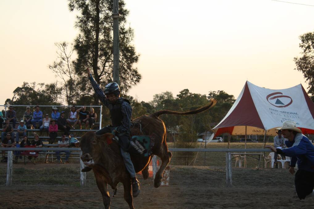 OCTOBER: HOLDING ON FOR DEAR LIFE: Young cowboy Jackson Adams demonstrates his skills in the 11-to-14 years steer riding at the Muswellbrook Charity Rodeo.