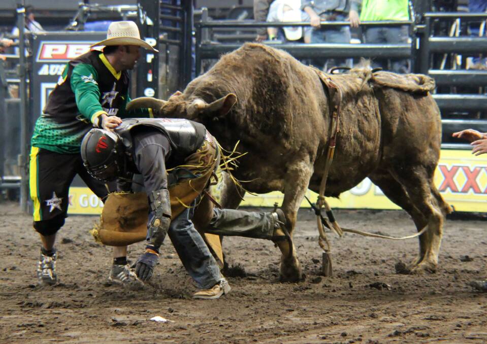 PROTECTION ATHLETE: Singleton’s Mitch Russell will have the job of  distracting the beasts at the Professional Bull Riders (PBR) Brendon Clark Invitational in Newcastle next month.