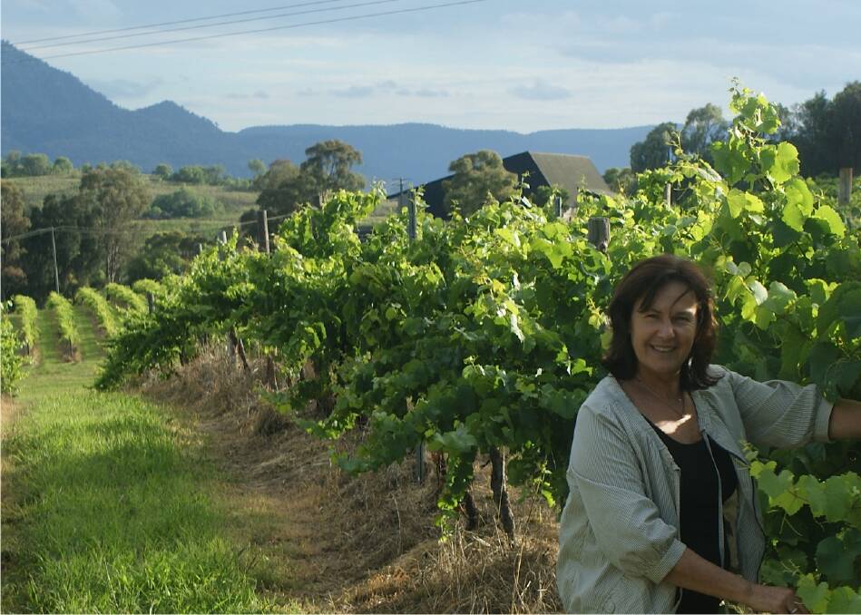OFF AND PICKING: Hollydene Estate Wines owner and viticulturist Karen Williams inspects the grapes pre-vintage at the Arrowfield Estate vineyard.