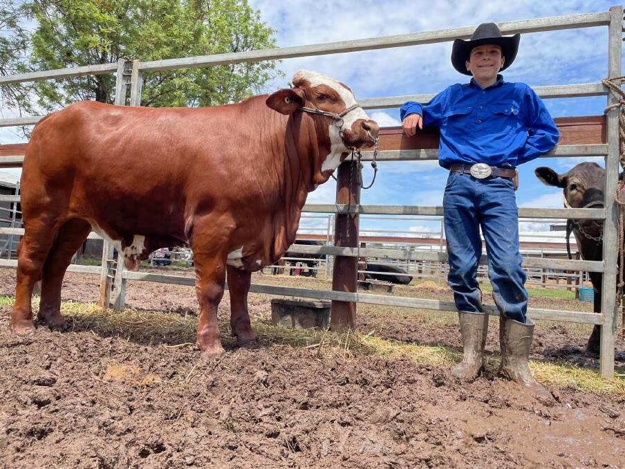 The Land journalist Samantha Townsend's son Wilton with show steer Frank the Tank at Upper Hunter Beef Bonanza.