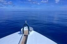 What really happens when a cruise ship crosses the equator at zero degrees