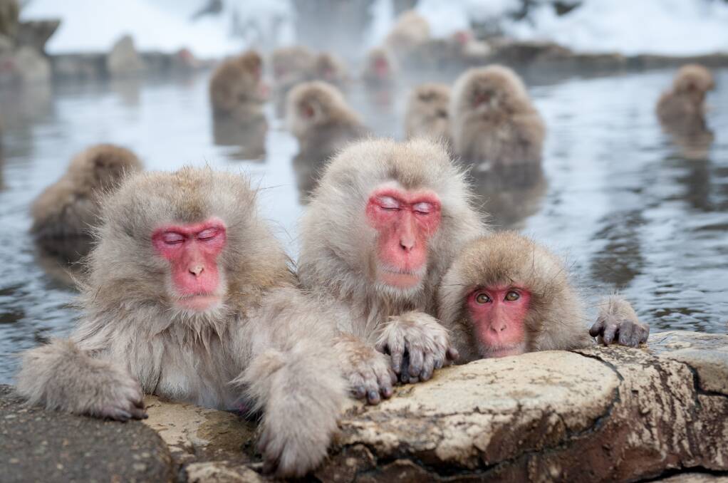 Getting warmer in Nagano. Picture: Getty Images Getting warmer in Nagano. Picture: Getty Images