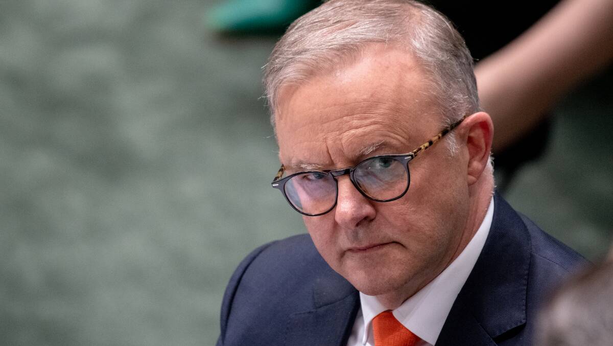 Anthony Albanese is facing a testing fortnight in the Senate. Picture by Elesa Kurtz