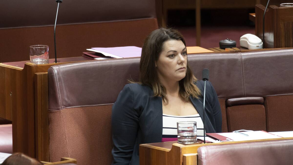 Sarah Hanson-Young is urging the government to go further. Picture by Sitthixay Ditthavong