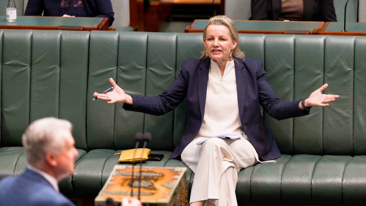 Sussan Ley says the plan comes at the 'worst possible time' for businesses. Picture by Sitthixay Ditthavong