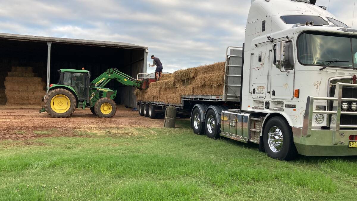 LOADING: Godolphin and Sowter Transport spent two days loading donations of hay bales to be transported to flood affected communities in northern NSW. Picture: Supplied