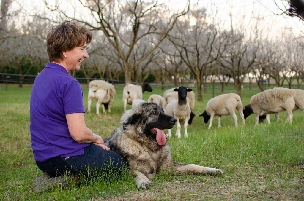 FINALIST: Aberdeen's Erin Williams has been nominated as a finalist in the 2022 NSW/ACT Rural Women's Award. Picture: Supplied
