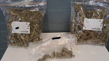 SEIZED: Cannabis allegedly seized during a routine random breath test on the Golden Highway near Denman on Tuesday, May 17. Picture: NSW Police Traffic and Highway Patrol Command