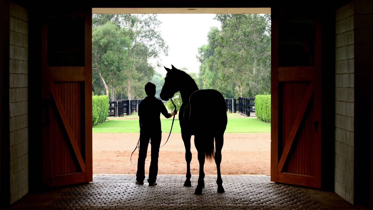JOBS: Positions in the thoroughbred industry are available across the Upper Hunter. Supplied: HTBA