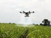 DRONE: A drone being used to spray sugar cane fields. Picture: Pixabay