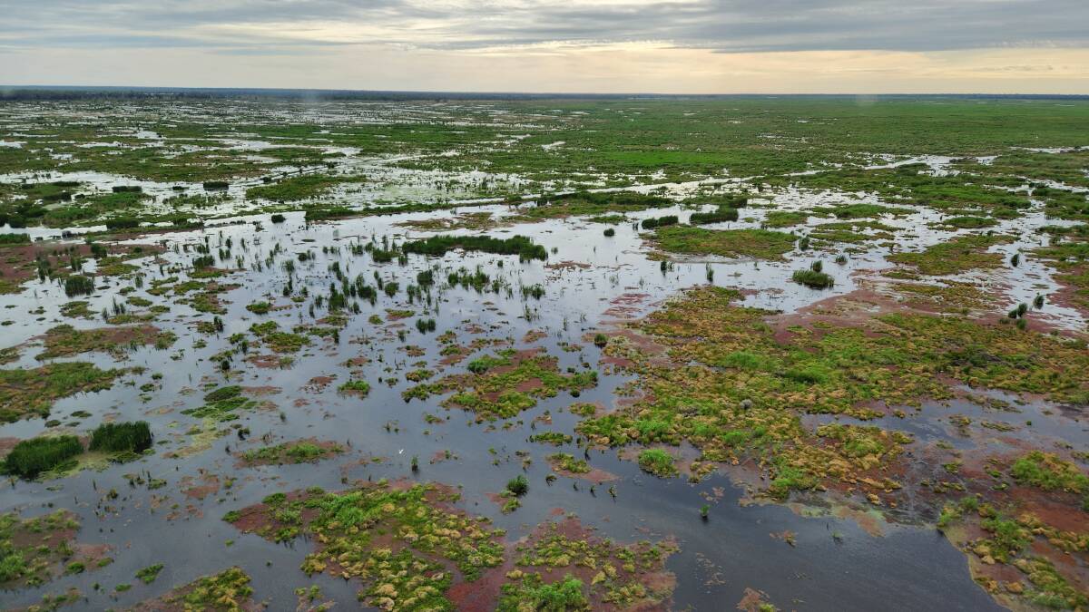 The Great Cumbung Swamp in NSW is one of over 2000 wetlands expected to thrive in the months following La Nina. Picture by John Porter.
