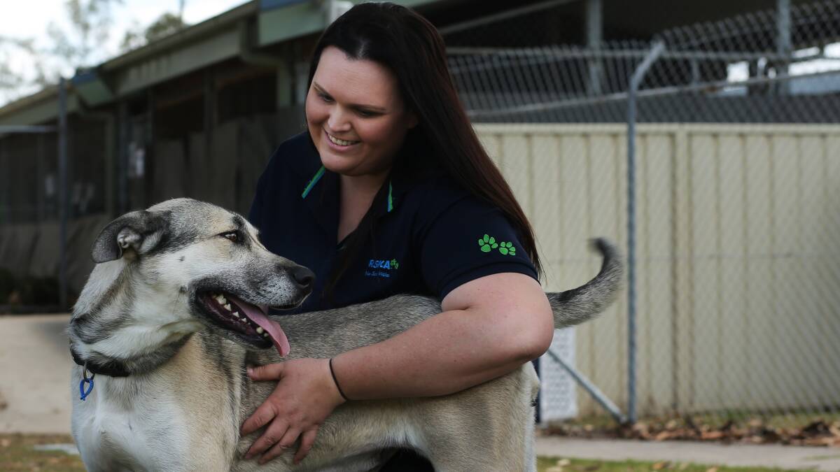 RSPCA NSW Hunter Shelter Supervisor Emilie Hayes with Savannah, who is up for adoption. Picture by Simone De Peak
