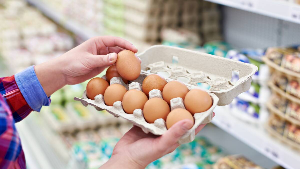 Coles and Woolworths pledged to remove caged eggs from their stores by 2025. Picture by Shutterstock