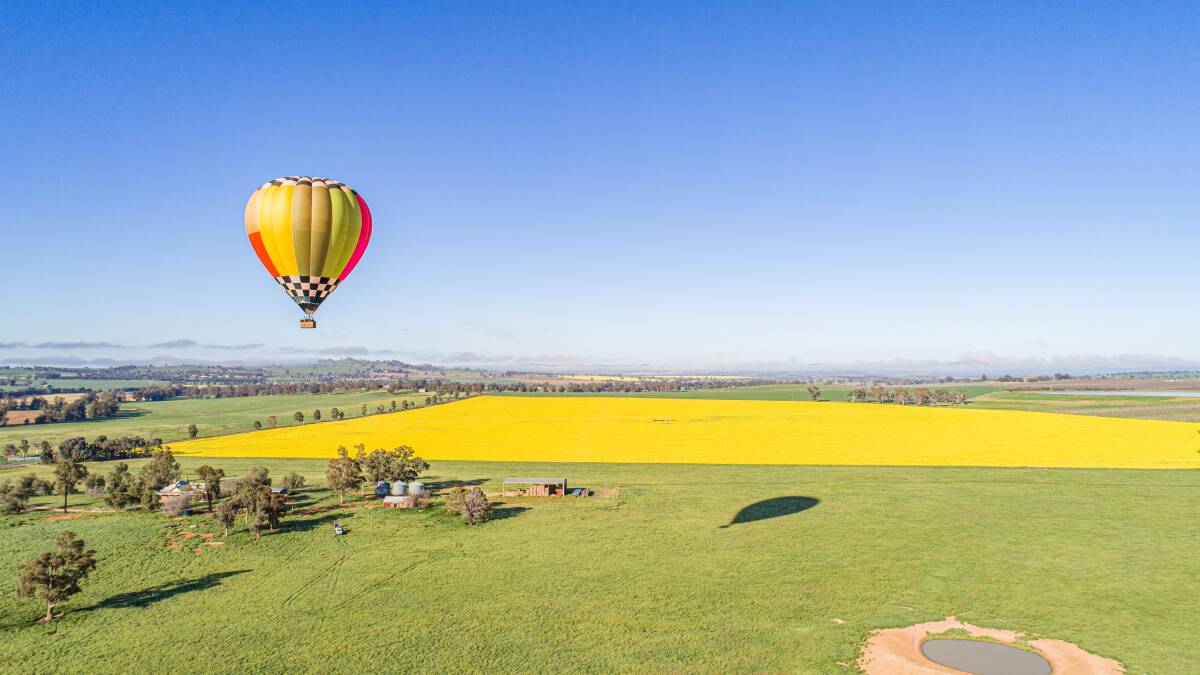 Don't miss these colourful seasonal spectacles in NSW right now