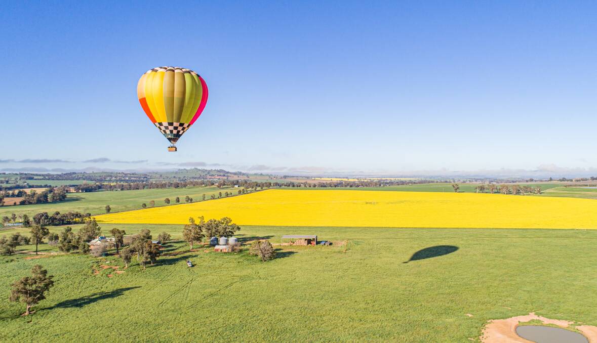 Flowering canola fields in Cowra, NSW.