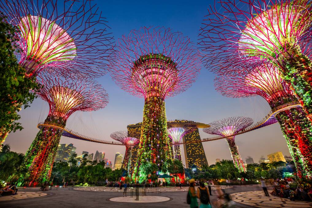 Supertrees at Gardens by the Bay. Picture: Shutterstock