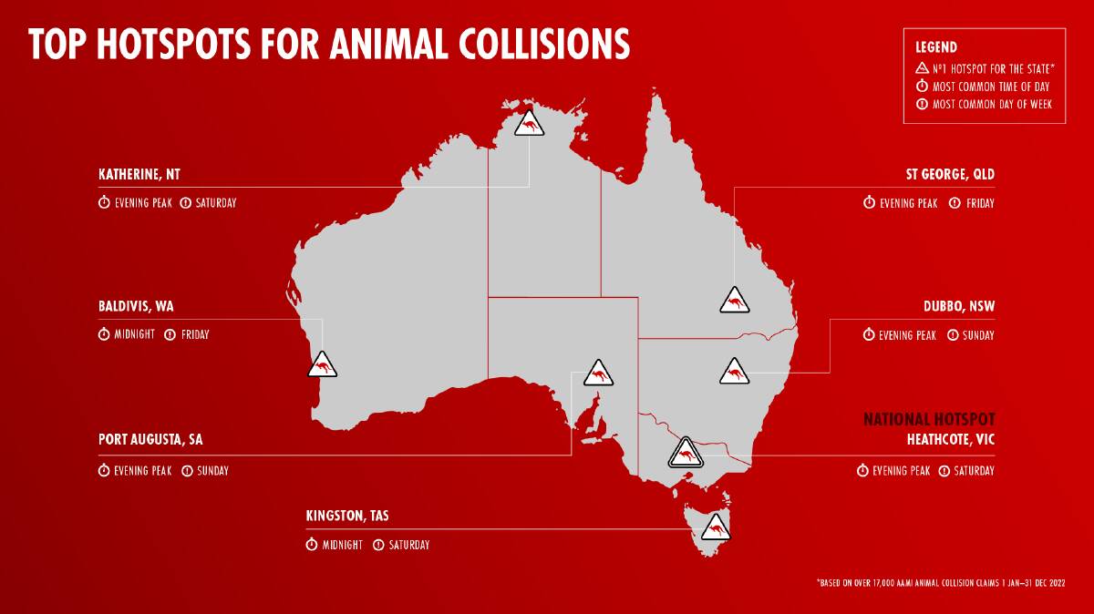 An infographic showing Australia's hotspots for animal collisions. Picture via AAMI insurance