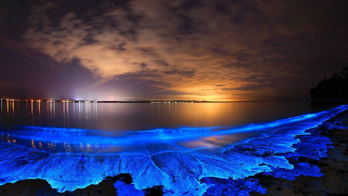 Bioluminescence at Jervis Bay. Picture by Joanne Paquette 
