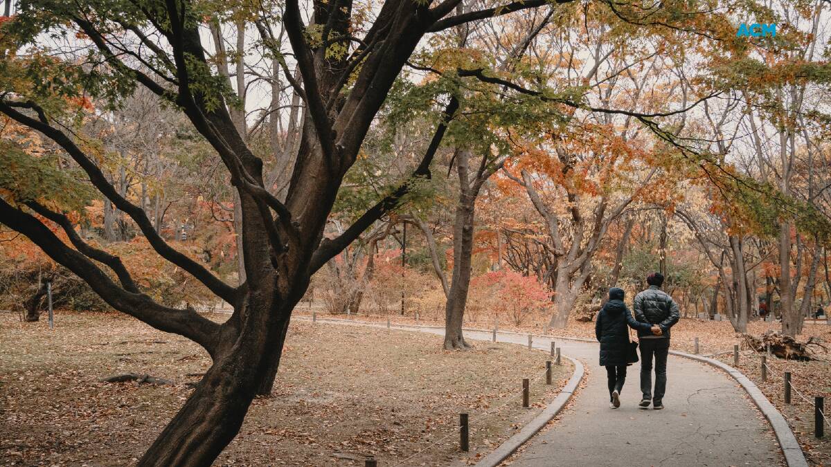 Two people walking through a park in winter. Picture via Canva