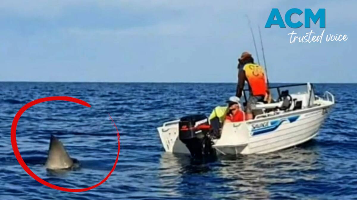 A great white shark gets eerily close to two fishermen off the South Australian coastline. Picture supplied