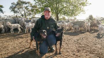 Colac's Bree Cudmore, pictured with Marista Zoe and Larnach Moana, has a shot at making this year's Dog of the Year. Picture by Rachel Simmonds