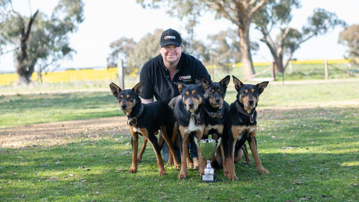Stockman Nick Foster with his winning Kelpie team and their trophy. Pictures from Cobber.