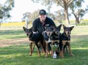 Stockman Nick Foster with his winning Kelpie team and their trophy. Pictures from Cobber.