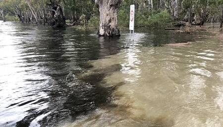 Blackwater can be seen emerging from the left of this image taken at the junction of Broken Creek and the Murray River. Picture from WaterNSW
