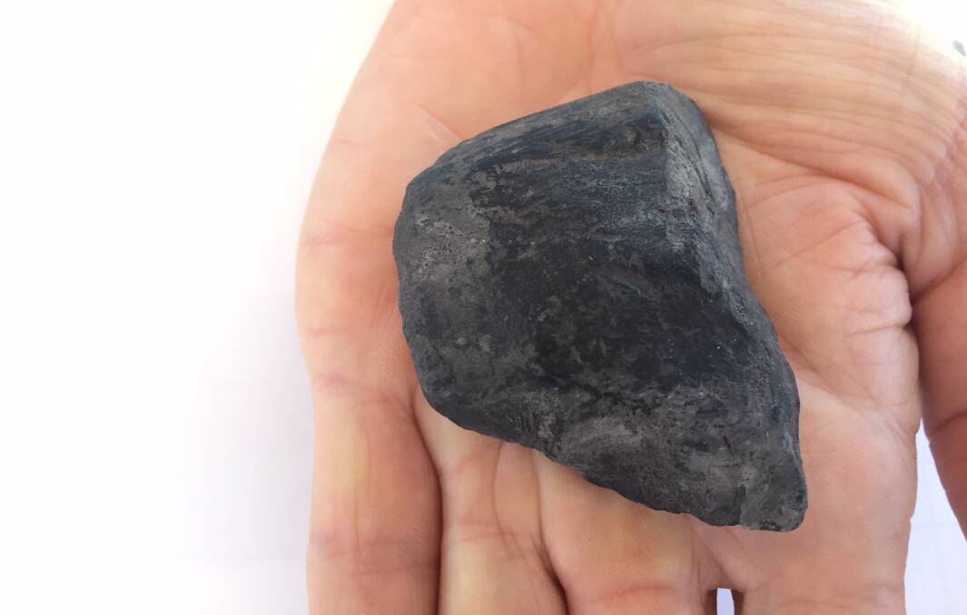 RARE FIND: This piece of precious shale rock sat on Origin Energy geologist Dr David Close's desk on which he said Australia's energy could be based.
