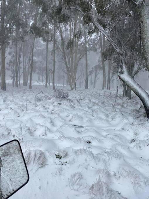 Snow at Murrurundi late last week, captured by Howard Lane. Murrurundi recorded its coldest day last Thursday.