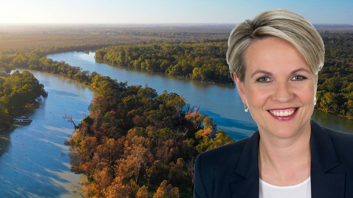 The basin plan was born out of desperation, not out of choice, Water Minister Tanya Plibersek says. Picture by John Hanscombe