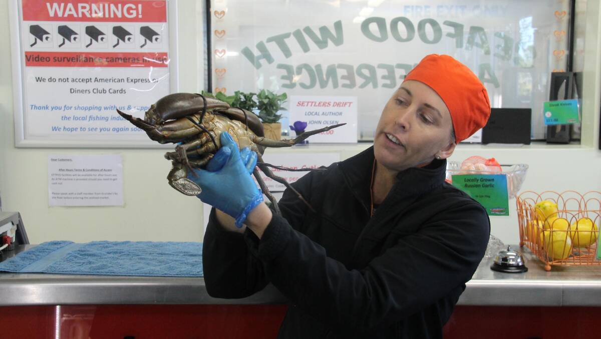 Yes, it’s very much alive … Sian McDowell with a fine crab specimen at Grunske’s. 