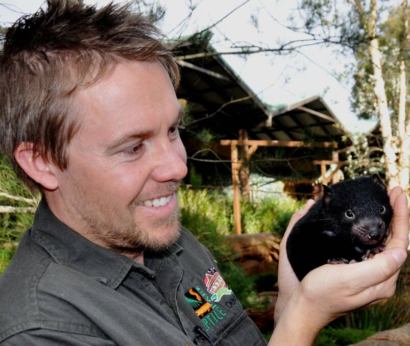 PRECIOUS: Tim Faulkner with a baby Tasmanian Devil.