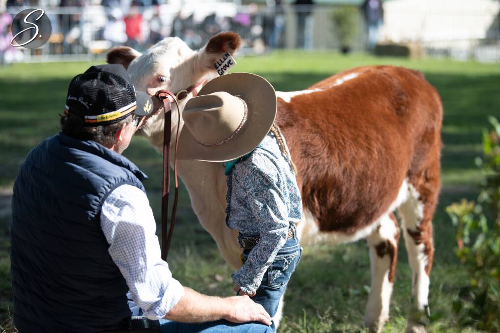 Wingham Beef Week. Picture by Showcase Branded Ag Marketing.
