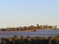 Solar farm proposed for Maison Dieu