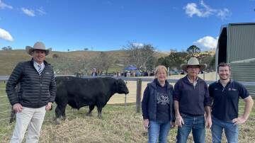 Auctioneer Paul Dooley with Pam Farragher, Jim Tickle and Rory Farragher of Banamba Angus who purchased the top price bull Sugarloaf Moe R111 for $26,000 at Sugarloaf Angus. Photo: Samantha Townsend.